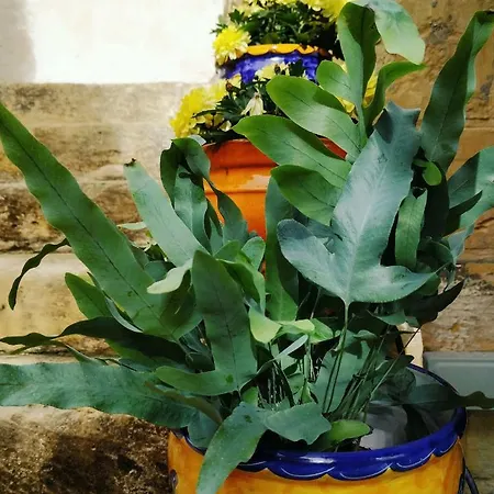 Villa Il Kiostro *